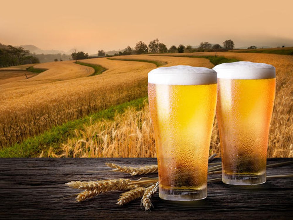 Safety management and precautions of beer brewing equip